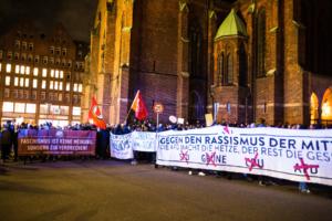 Hamburg FDP Demo (11 von 47)
