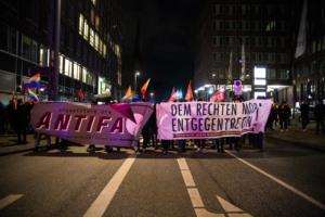 Hamburg FDP Demo (33 von 47)