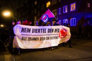 AFD Parteitag Hamburg (3 von 16)