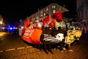 18-11-2020 Hamburg Demo gegen AFD (16 von 33)