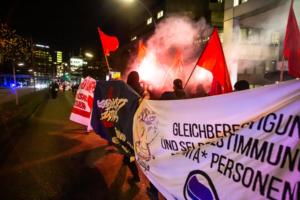 18-11-2020 Hamburg Demo gegen AFD (30 von 33)