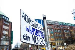 26. März Hamburg  MMW Demo (1 von 41)
